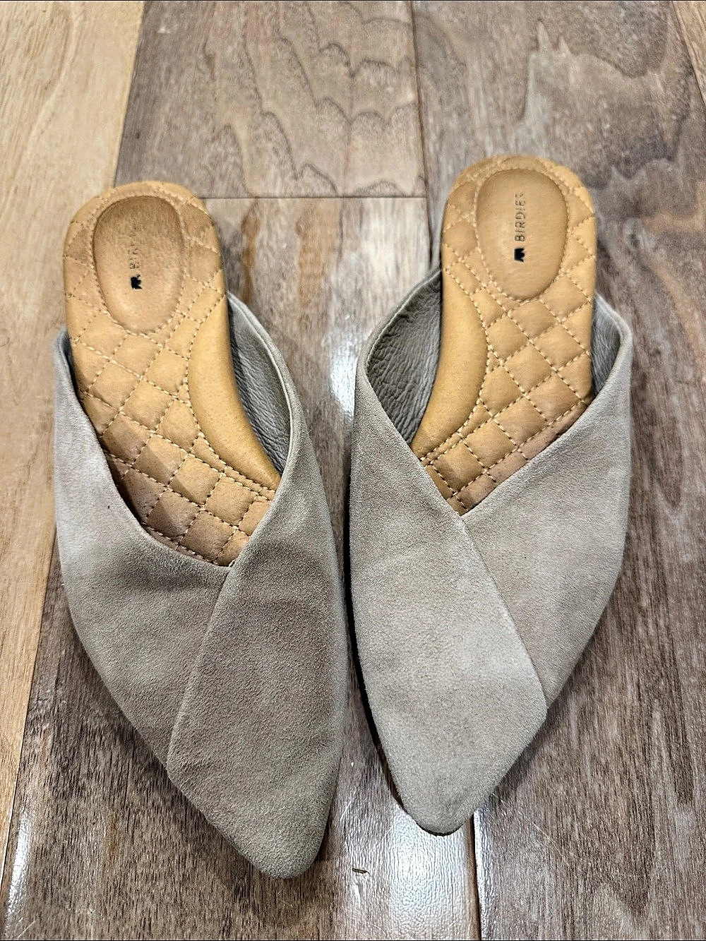Birdies The Swan Suede Mule Pointed-Toe Gray